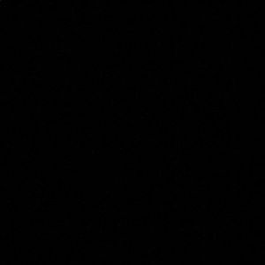 Meet your Posher, Ella